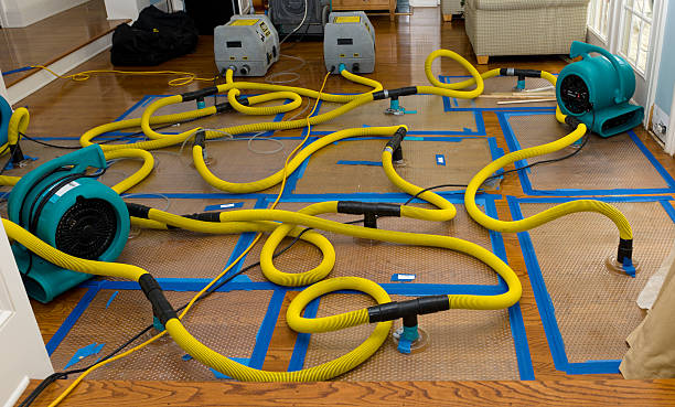 Professional Structural Drying And Dehumidification technician working in Princeton, WV